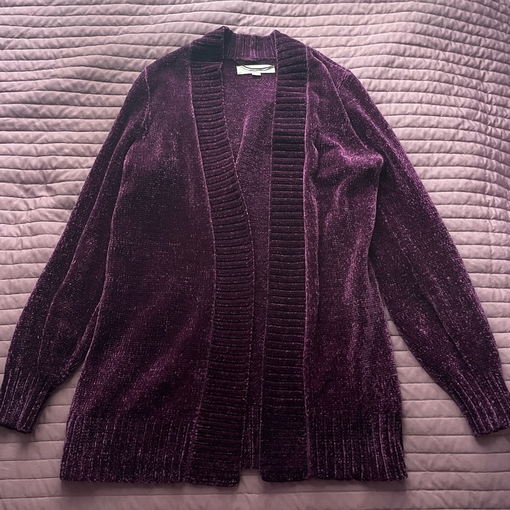 LOFT Woman's Cardigan Sweater - XS